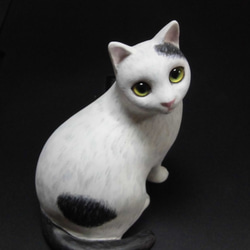 白黒猫 2枚目の画像