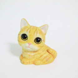 香箱座りのマシュマロ子猫（茶トラ） 1枚目の画像