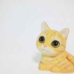香箱座りのマシュマロ子猫（茶トラ） 2枚目の画像
