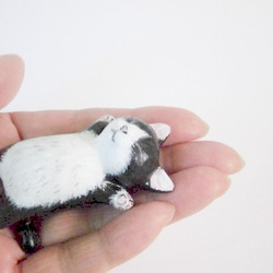 爆睡子猫（白黒ハチワレ） 2枚目の画像