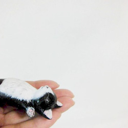 爆睡子猫（白黒ハチワレ） 4枚目の画像