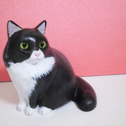 ハチワレ猫（白黒） 2枚目の画像
