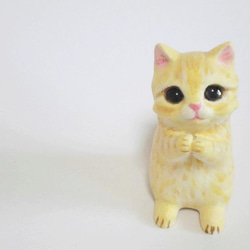お願いポーズのマンチカン子猫 1枚目の画像
