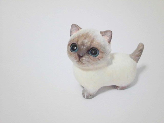 マンチカン　（ポイント）