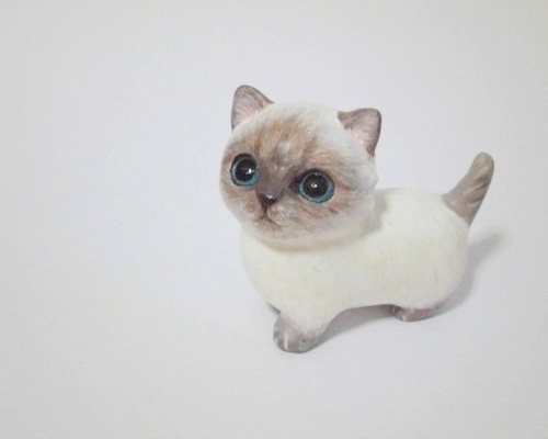 1_5333a23f0bdfe2e8281e48567d48