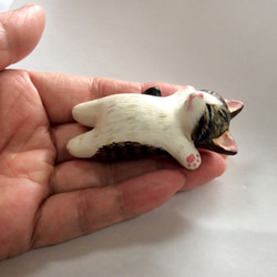Kijitora白貓爆睡的小貓（石粉泥人） 第9張的照片