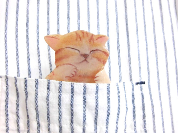 袖珍貓胸針大睡眠茶虎斑貓 第1張的照片