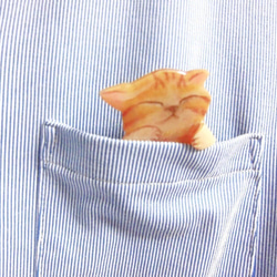 ポケット猫ブローチ　爆睡茶トラ猫 2枚目の画像