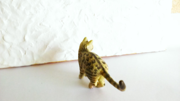 ベンガルの子猫 3枚目の画像