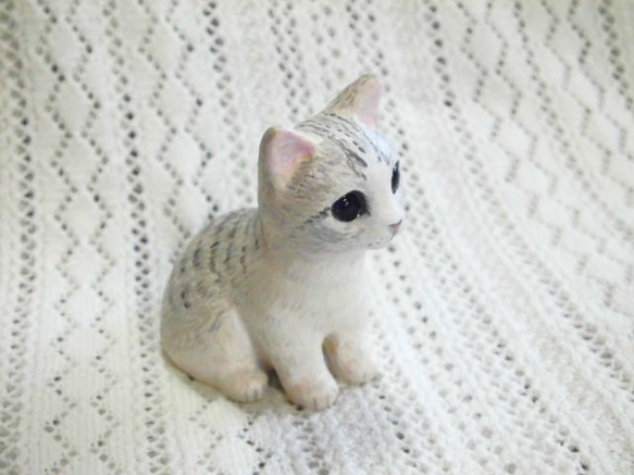 Sabatora白貓 第3張的照片