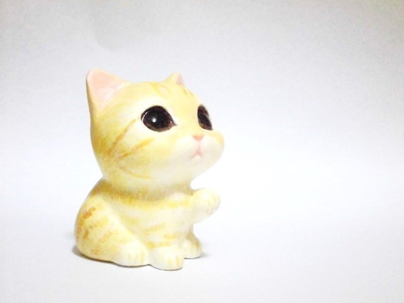 棉花糖小貓（棕色虎2） 第5張的照片