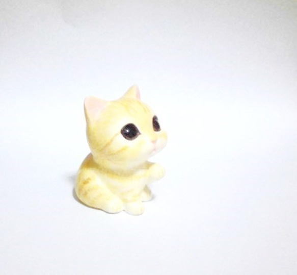 棉花糖小貓（棕色虎2） 第6張的照片