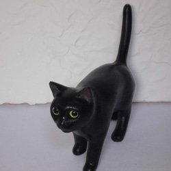 黒猫のクロちゃん（お散歩） 2枚目の画像
