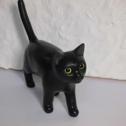 黒猫のクロちゃん（お散歩） 3枚目の画像