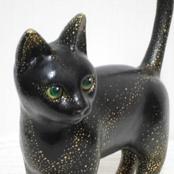 星のプリンセス黒猫 1枚目の画像