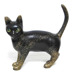 星のプリンセス黒猫 2枚目の画像