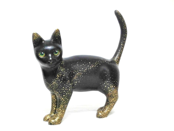 星のプリンセス黒猫 5枚目の画像