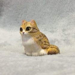キジトラ白猫 (長毛種） 3枚目の画像