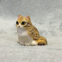 キジトラ白猫 (長毛種） 4枚目の画像