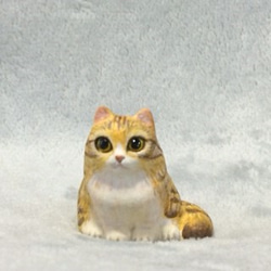 キジトラ白猫 (長毛種） 2枚目の画像