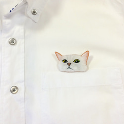 偷看從口袋的白色貓胸針 第3張的照片
