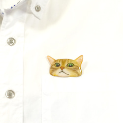 ポケットからのぞくちゃとら猫のブローチ 3枚目の画像