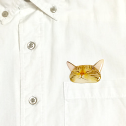 ポケットからのぞく爆睡キジトラ猫のブローチ 3枚目の画像
