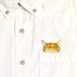 ポケットからのぞく爆睡キジトラ猫のブローチ 4枚目の画像
