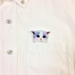 Hachiware小貓胸針從你的口袋裡偷看（B） 第3張的照片