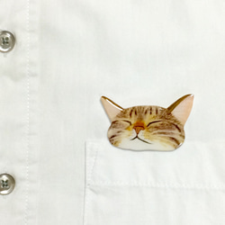 從口袋裡偷窺爆炸性睡眠貓咪胸針2 第2張的照片
