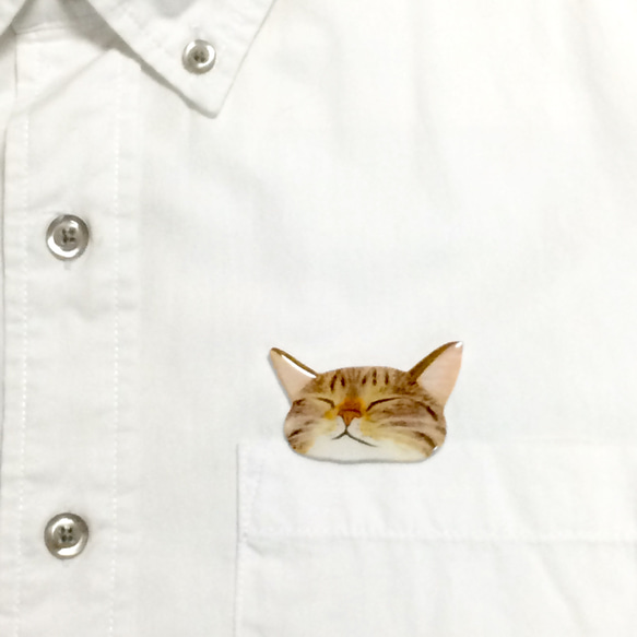 從口袋裡偷窺爆炸性睡眠貓咪胸針2 第4張的照片