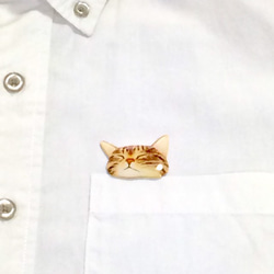睡覺的Kijitora貓胸針從你的口袋裡偷看 第2張的照片