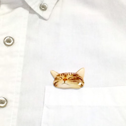 睡覺的Kijitora貓胸針從你的口袋裡偷看 第3張的照片