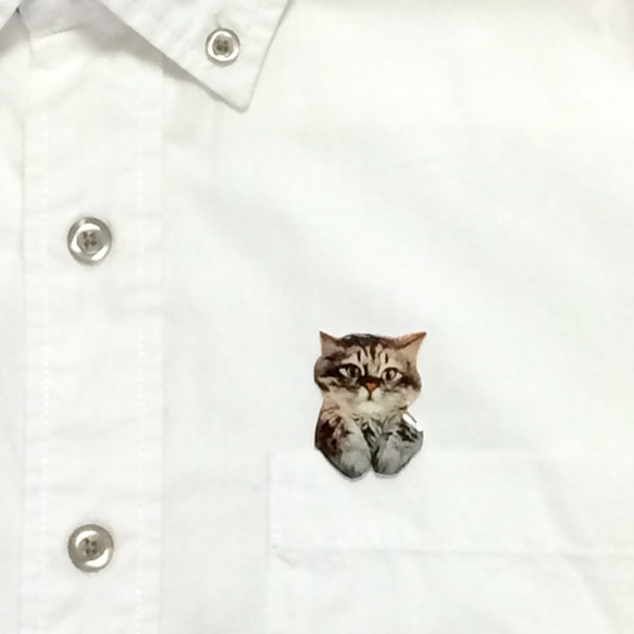 從口袋偷看偷看一隻貓的胸針 第6張的照片