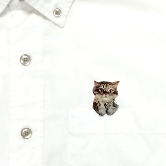 從口袋偷看偷看一隻貓的胸針 第8張的照片