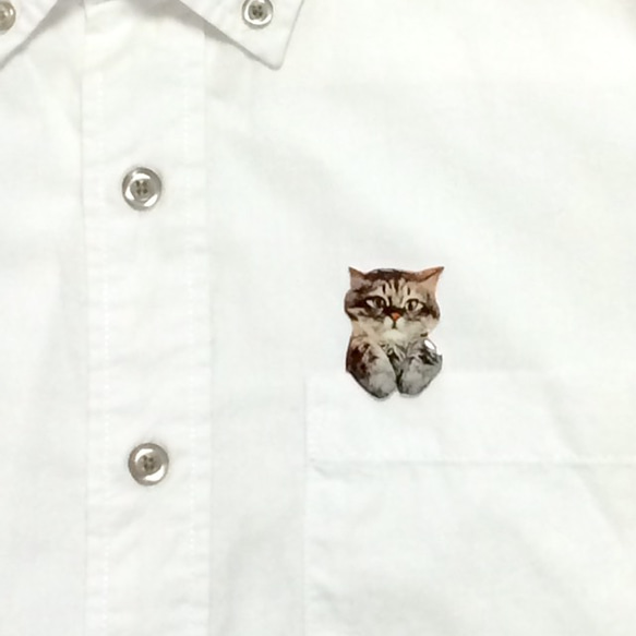 從口袋偷看偷看一隻貓的胸針 第9張的照片
