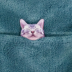 一隻睡著的 Sabatra 貓從你的口袋裡偷看的胸針 B 第1張的照片