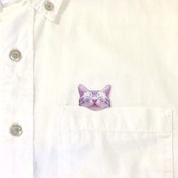 一隻睡著的 Sabatra 貓從你的口袋裡偷看的胸針 B 第2張的照片