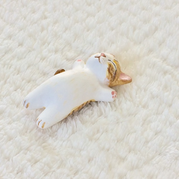 白色貓嗡嗡聲的小貓 第7張的照片
