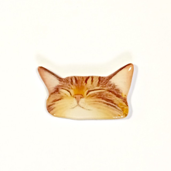 睡覺的Kijitora貓胸針從口袋裡偷看 第1張的照片