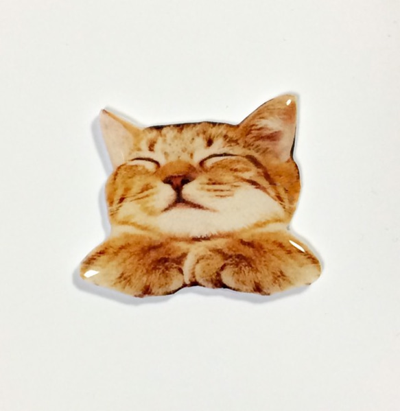 一隻睡著的 Kijitora 貓從你的口袋裡偷看的胸針 第1張的照片