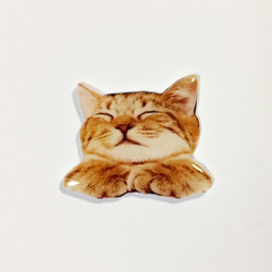 一隻睡著的 Kijitora 貓從你的口袋裡偷看的胸針 第2張的照片