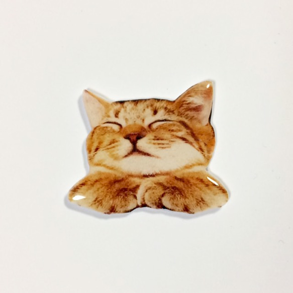 一隻睡著的 Kijitora 貓從你的口袋裡偷看的胸針 第2張的照片