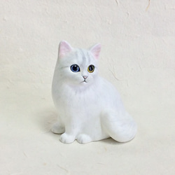 オッドアイの白い猫 8枚目の画像
