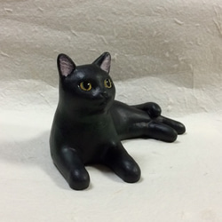 黑貓 第2張的照片