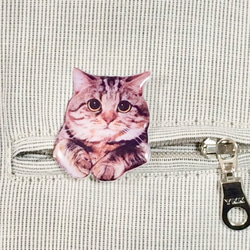 從口袋裡偷看的 Kijitora 貓胸針 第1張的照片