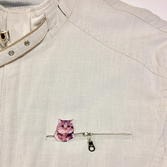 從口袋裡偷看的 Kijitora 貓胸針 第3張的照片