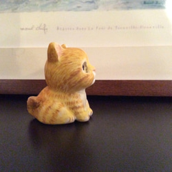 マシュマロ子猫（茶トラ） 3枚目の画像