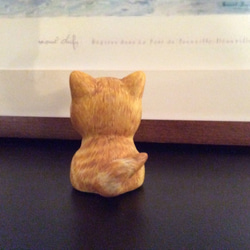 マシュマロ子猫（茶トラ） 5枚目の画像