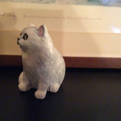 白いペルシャ猫 4枚目の画像